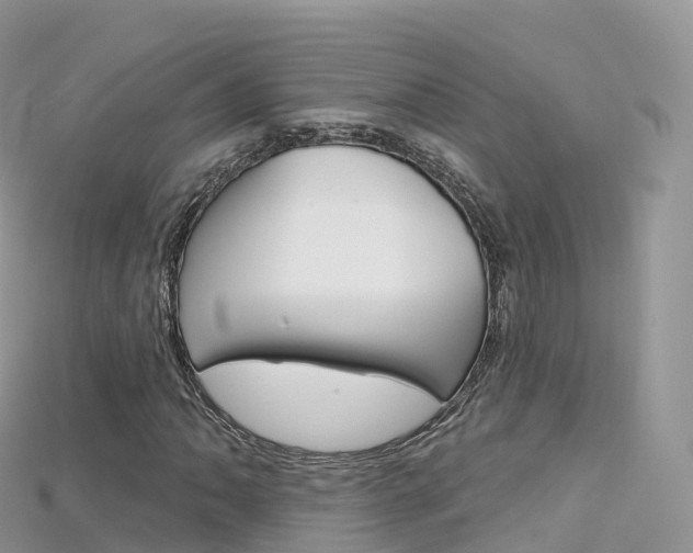 X0000115691062200911121003