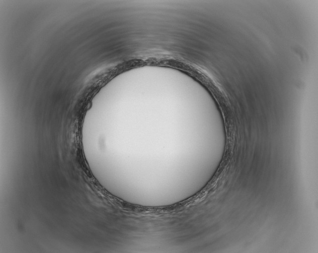 X0000115691063200911121003