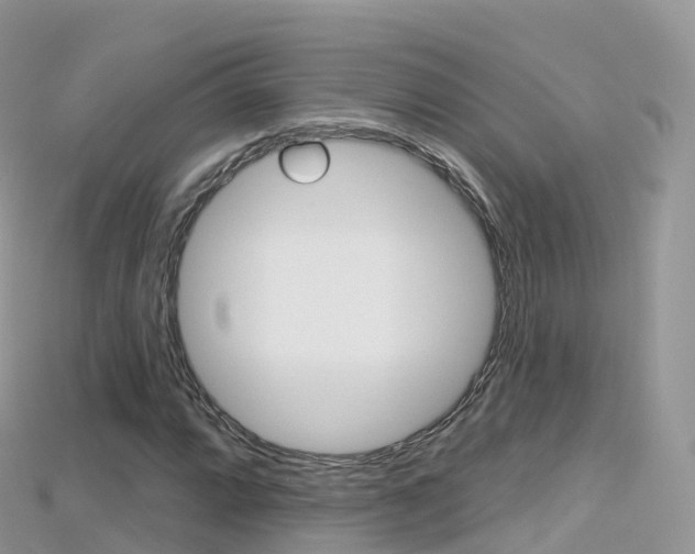 X0000115691064200911121003