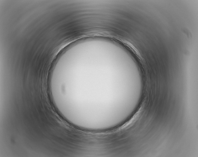X0000115691065200911121003