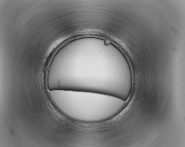 X0000115691066200911121003