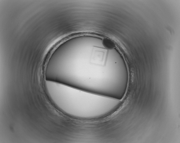 X0000115691069200911121003