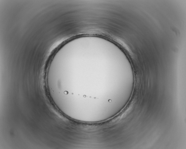 X0000115691071200911121003