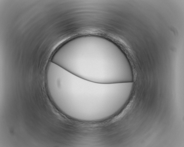 X0000115691073200911121003
