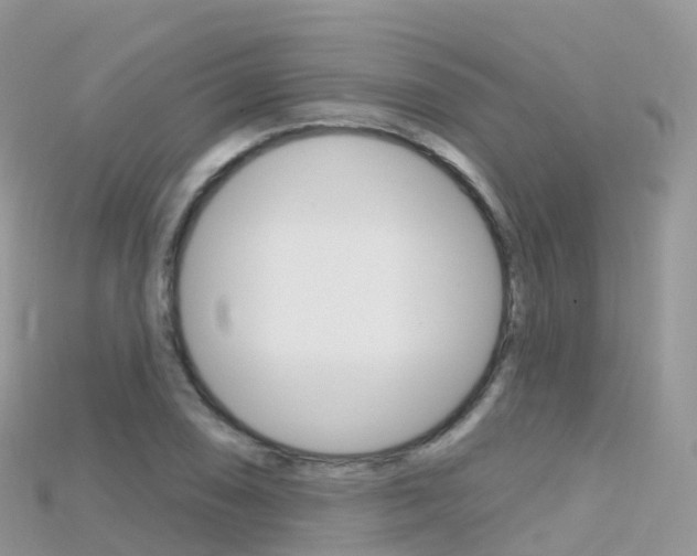 X0000115691074200911121003