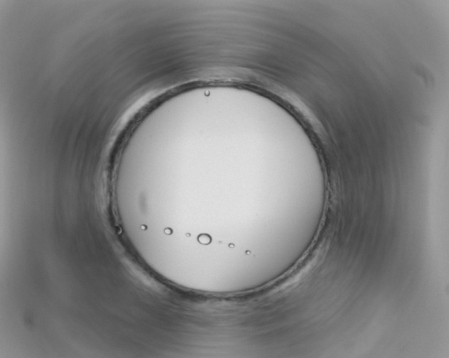 X0000115691075200911121003