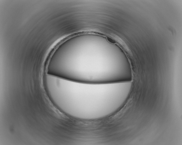 X0000115691076200911121003