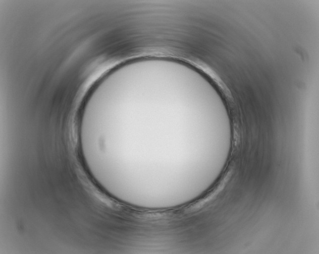 X0000115691078200911121003