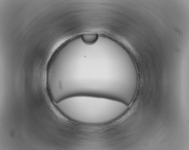X0000115691079200911121003