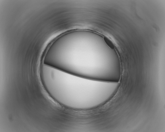 X0000115691080200911121003