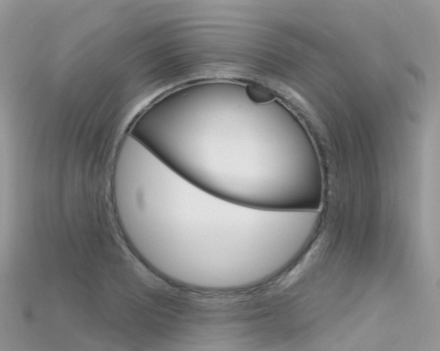 X0000115691081200911121003