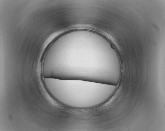 X0000115691082200911121003