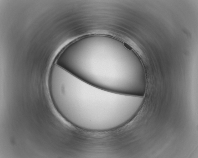 X0000115691084200911121003