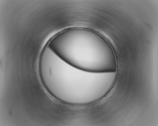 X0000115691085200911121002