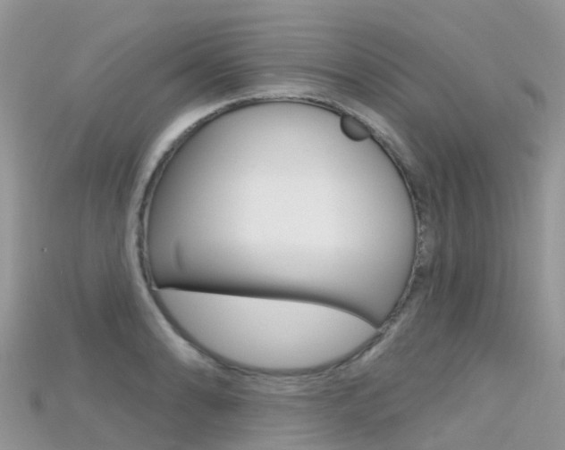 X0000115691086200911121002