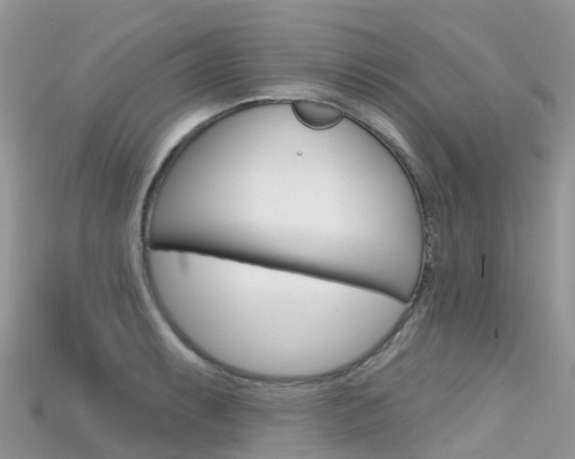 X0000115691087200911121002