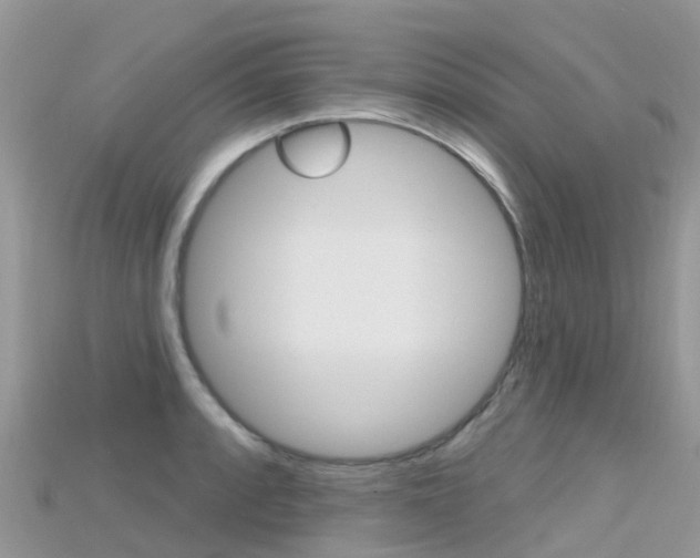 X0000115691088200911121002