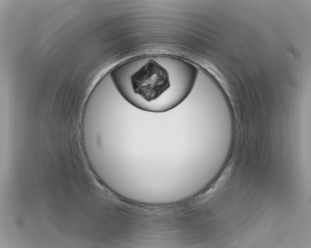 X0000115691089200911121002