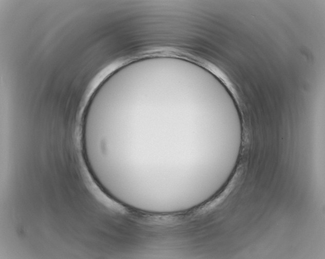 X0000115691090200911121002