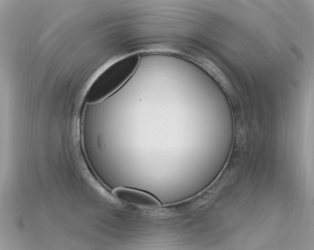 X0000115691092200911121002