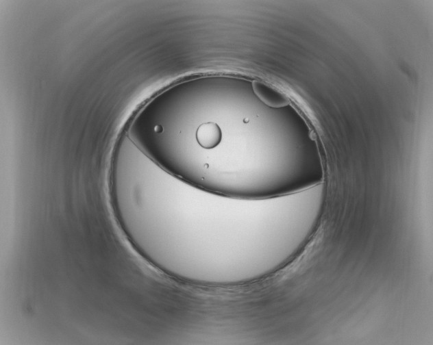 X0000115691093200911121002