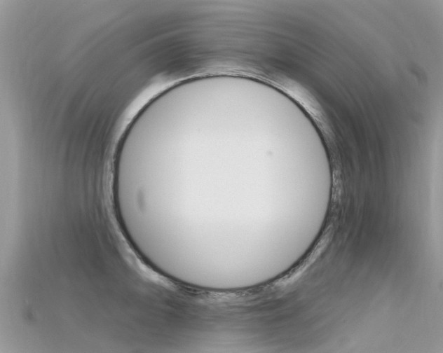 X0000115691094200911121002