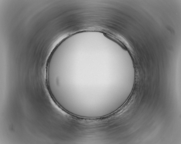 X0000115691095200911121002