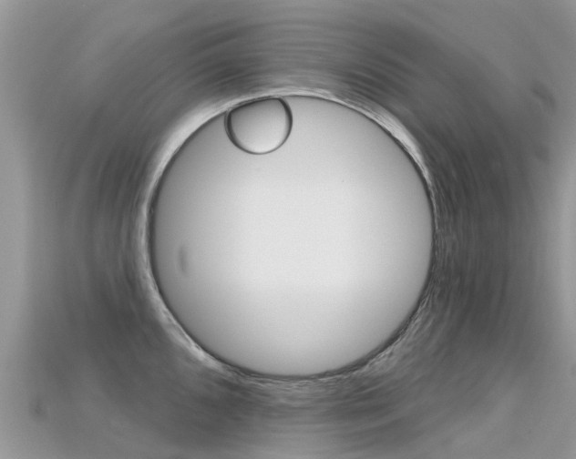 X0000115691096200911121002