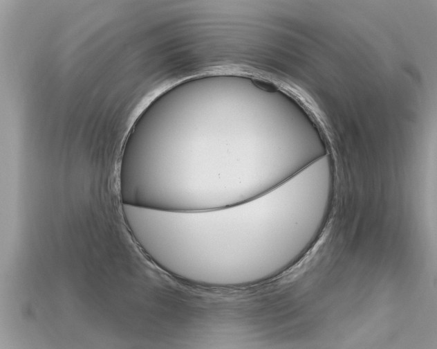 X0000115691097200911121002