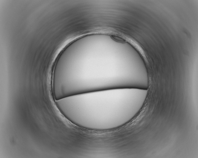 X0000115691099200911121002