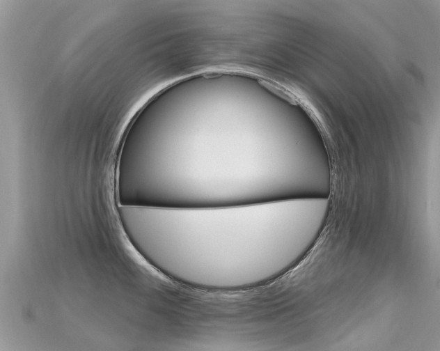 X0000115691100200911121002