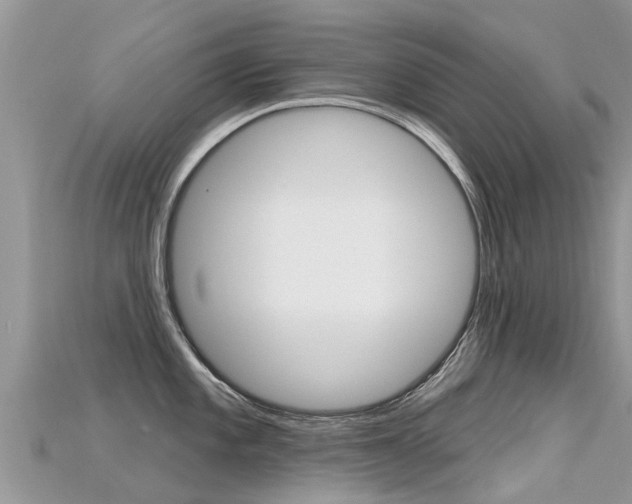 X0000115691101200911121002