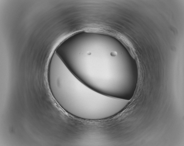 X0000115691104200911121002
