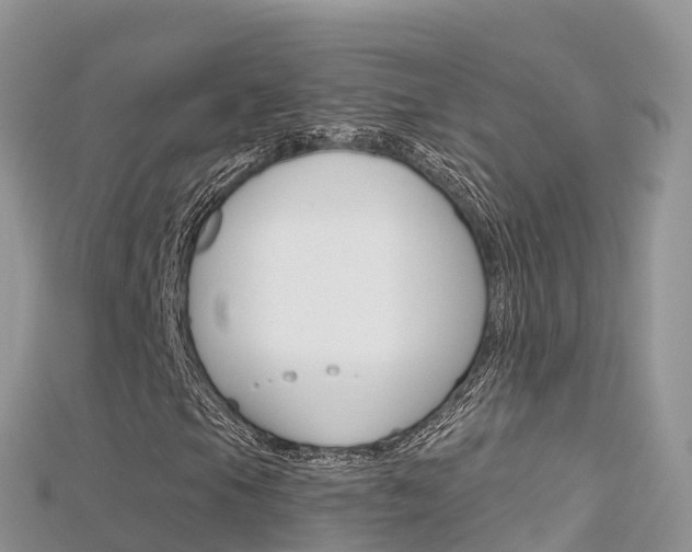 X0000115691105200911121002