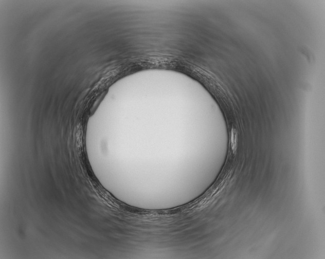 X0000115691107200911121002