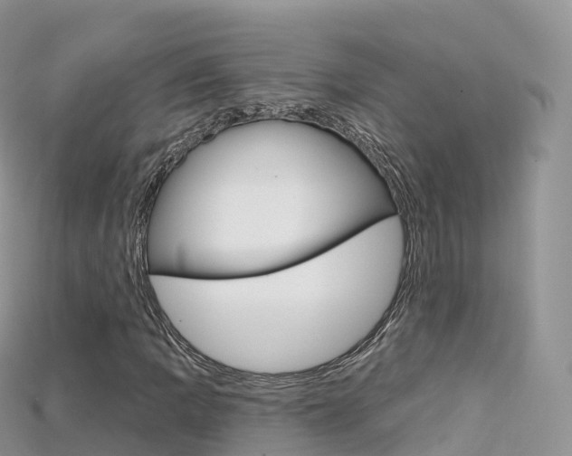 X0000115691109200911121002