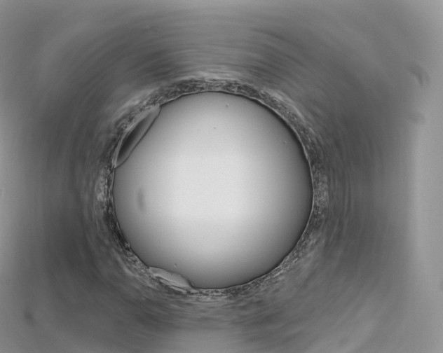 X0000115691110200911121002