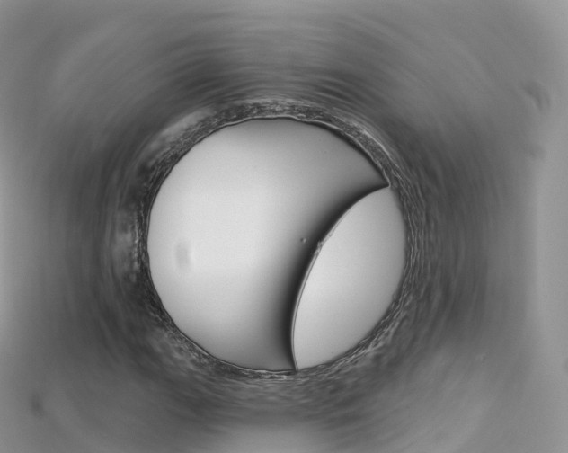 X0000115691111200911121002