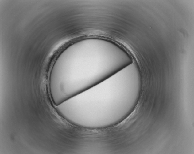 X0000115691115200911121002