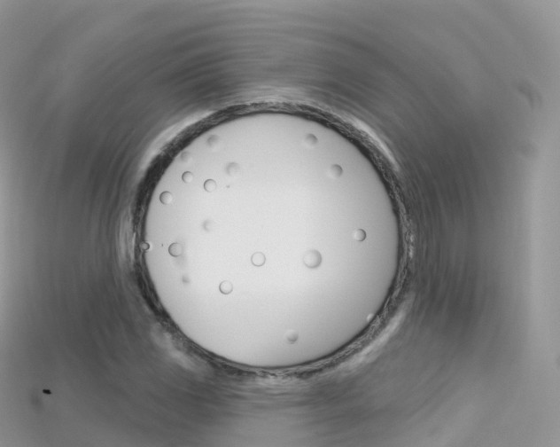 X0000115691117200911121002