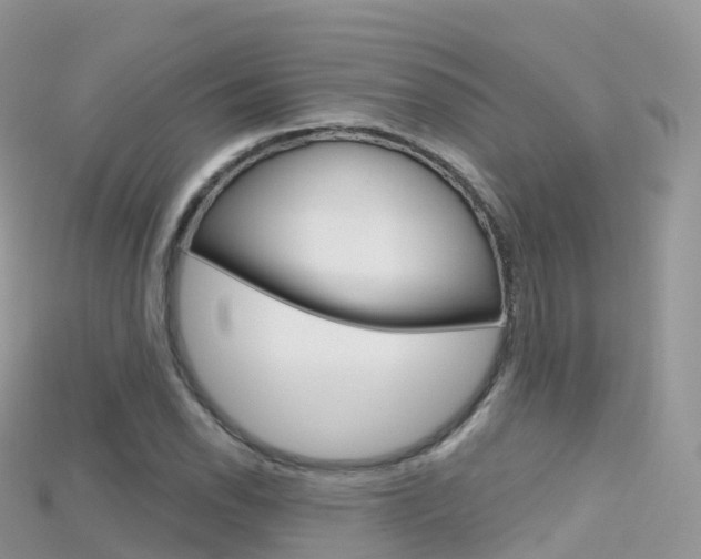 X0000115691118200911121002