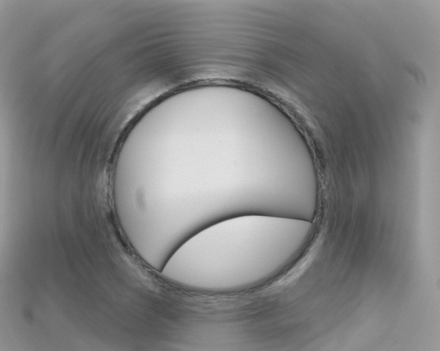X0000115691121200911121002