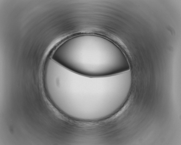 X0000115691122200911121002