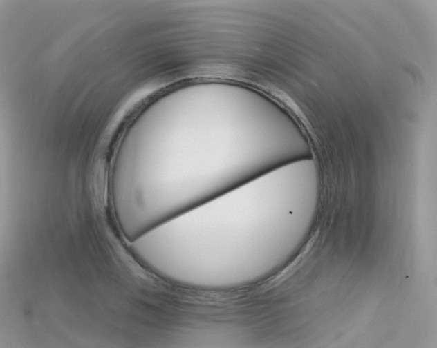 X0000115691123200911121002