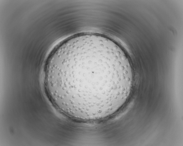 X0000115691125200911121002