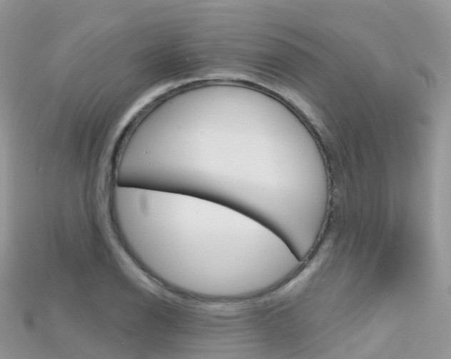 X0000115691126200911121002