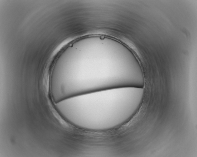 X0000115691127200911121002
