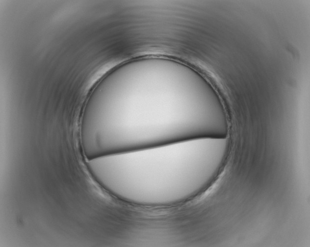 X0000115691129200911121002