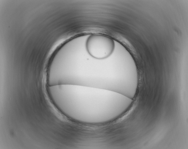 X0000115691130200911121002