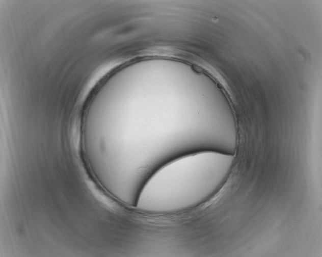 X0000115691131200911121002